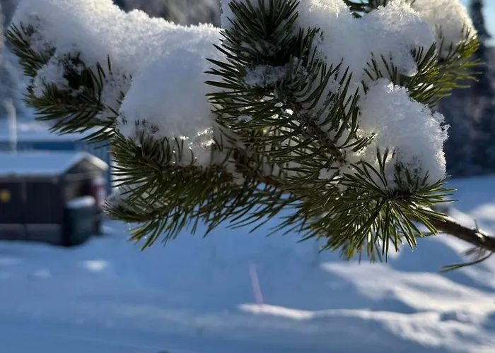 New Cozy And Large With Private Jacuzzi And Sauna Alpehytte Eggedal