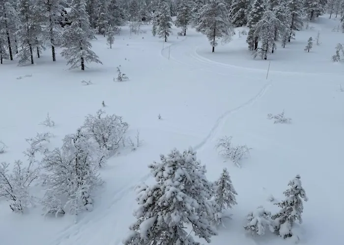 New Cozy And Large With Private Jacuzzi And Sauna